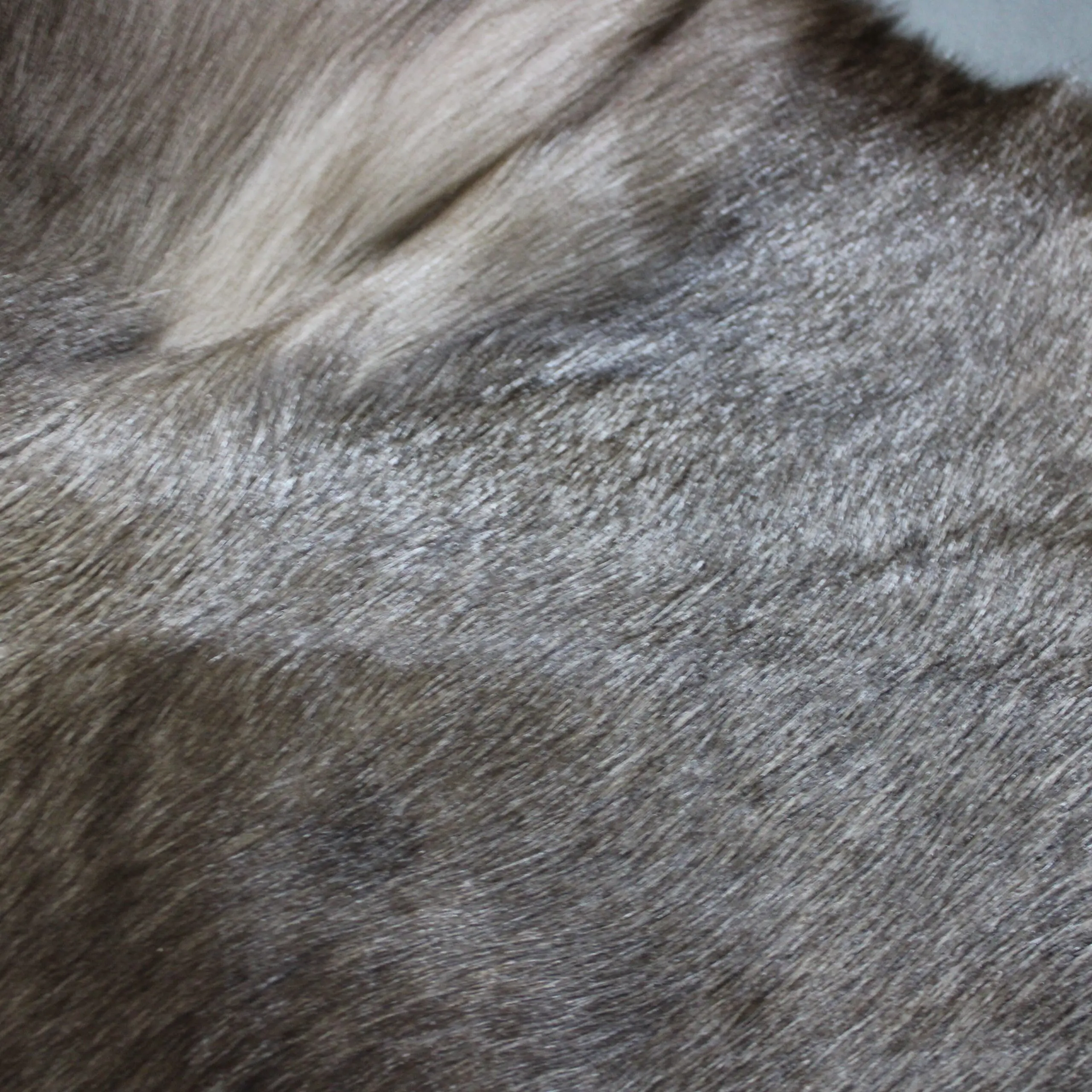 Siberian Reindeer Hide SR267