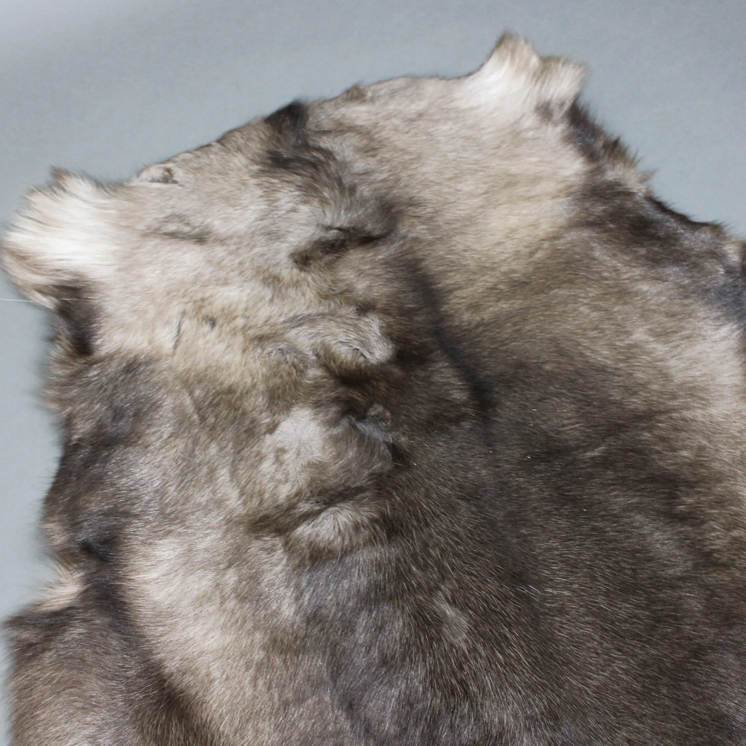 Siberian Reindeer Hide SR267