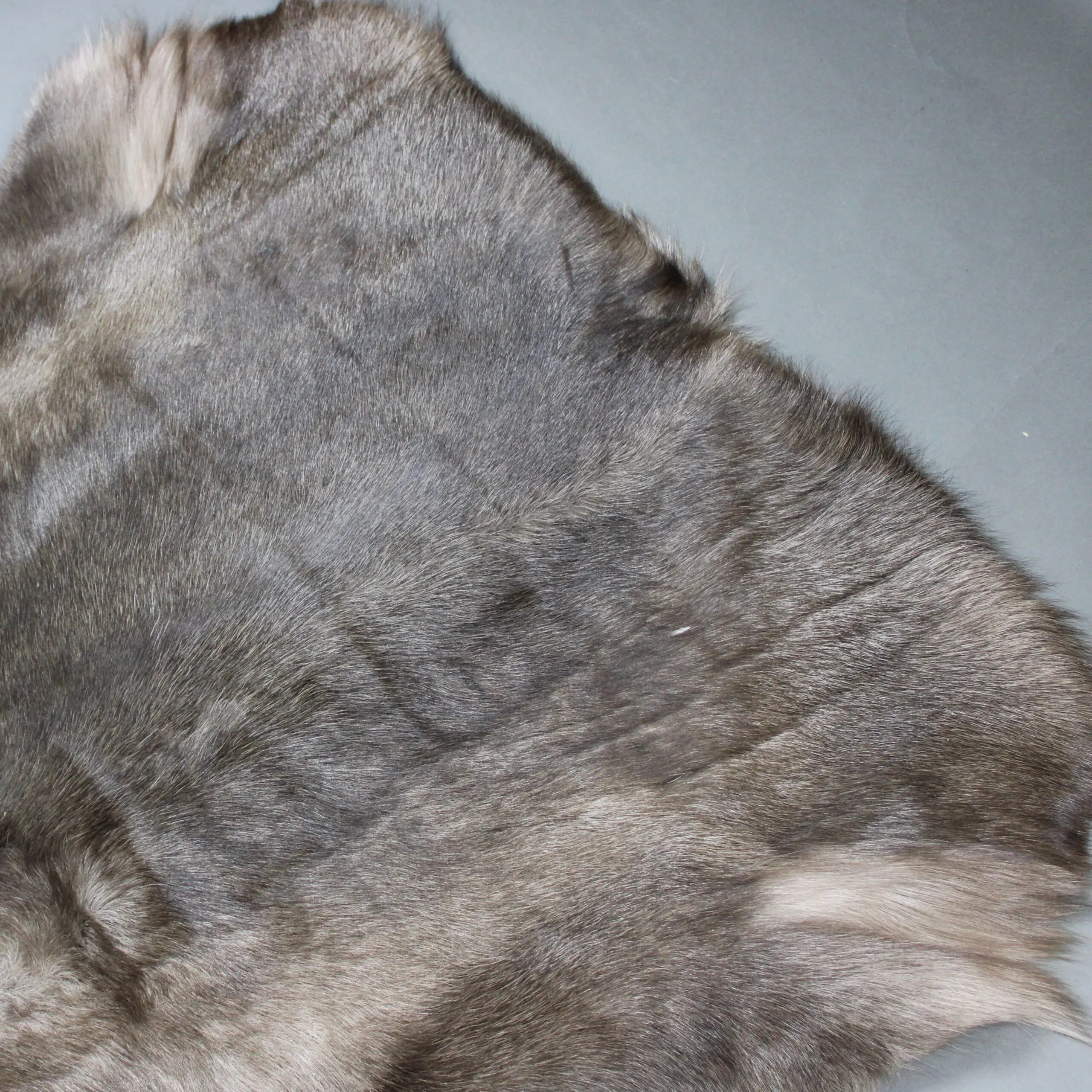 Siberian Reindeer Hide SR267