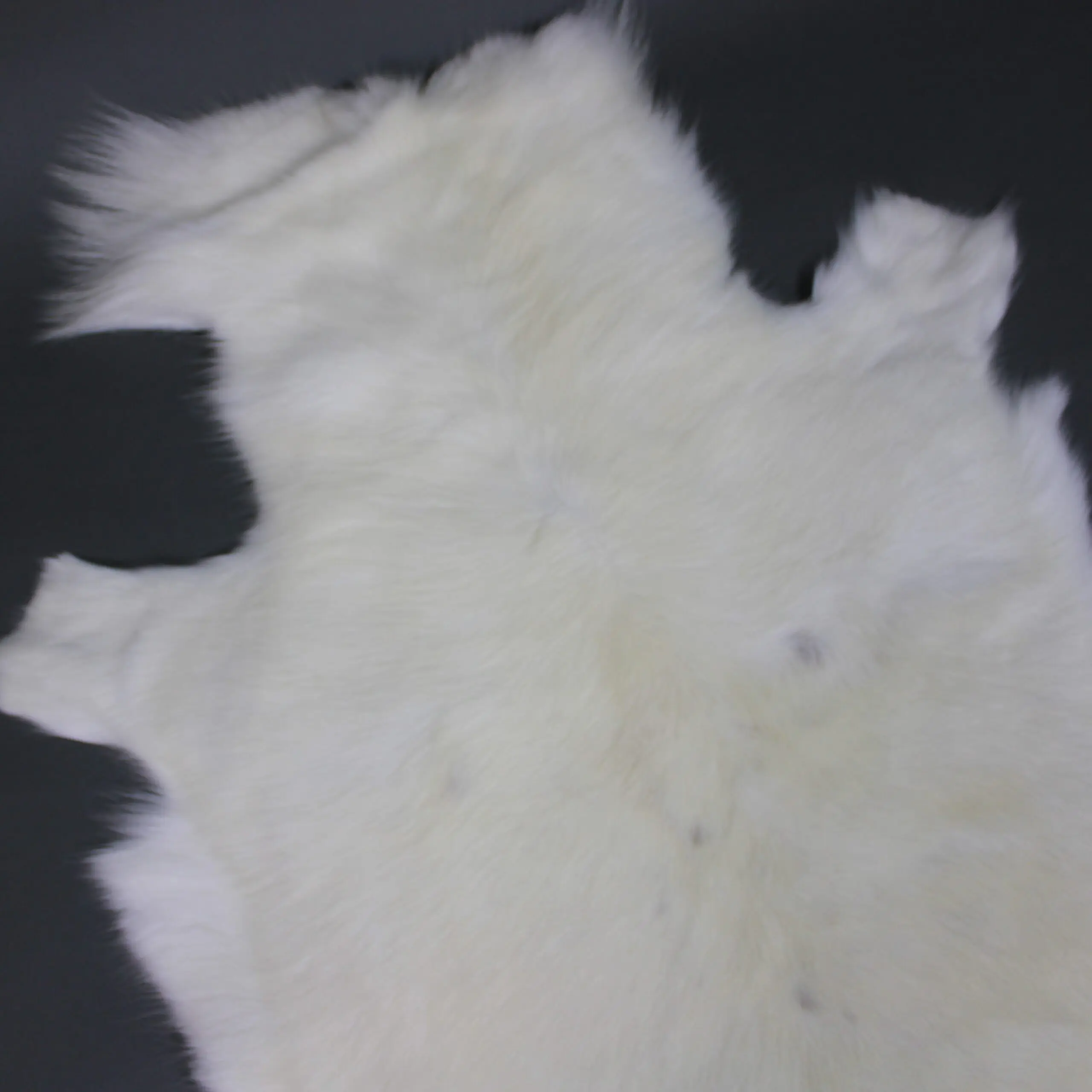 White Reindeer Hide WR259