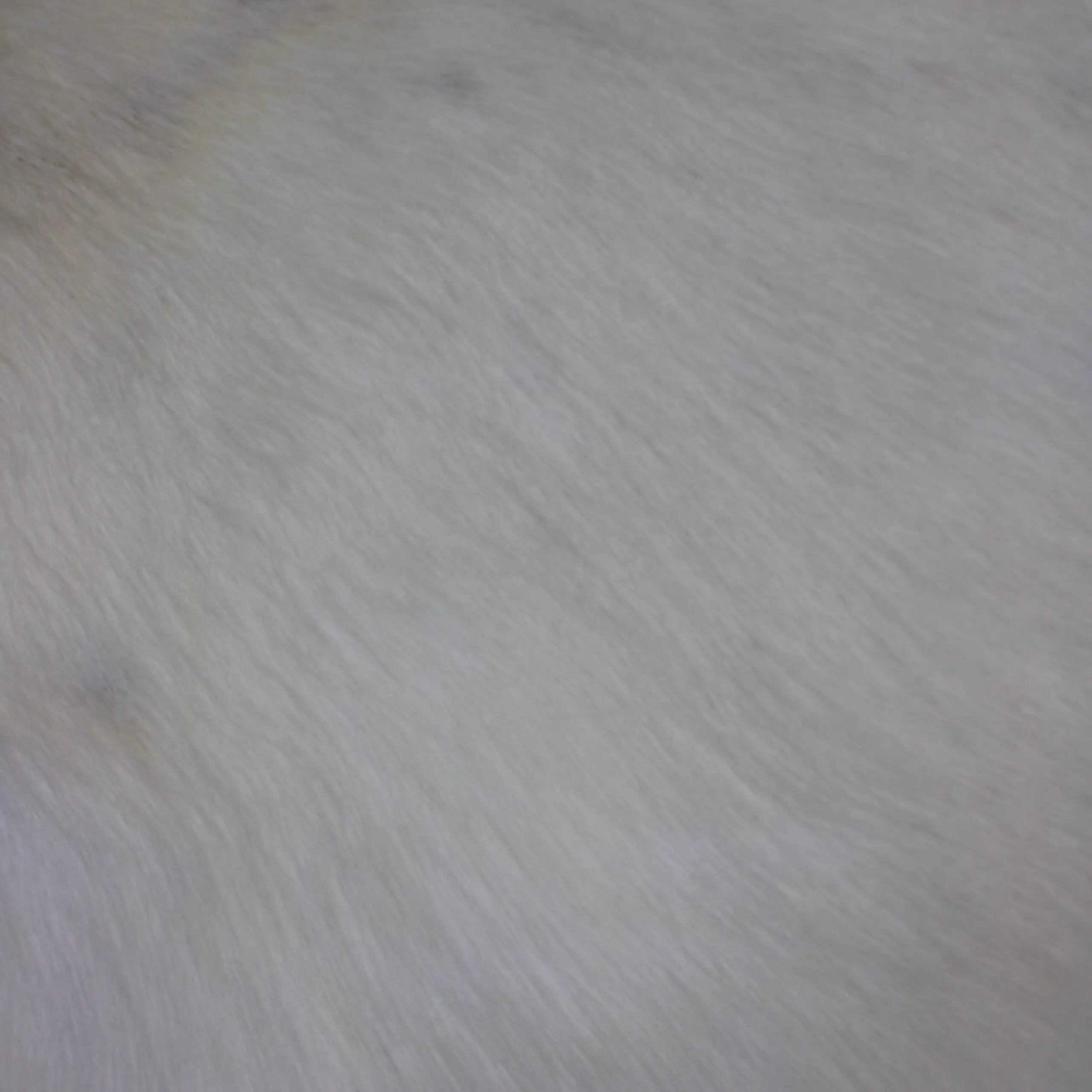 White Reindeer Hide WR259