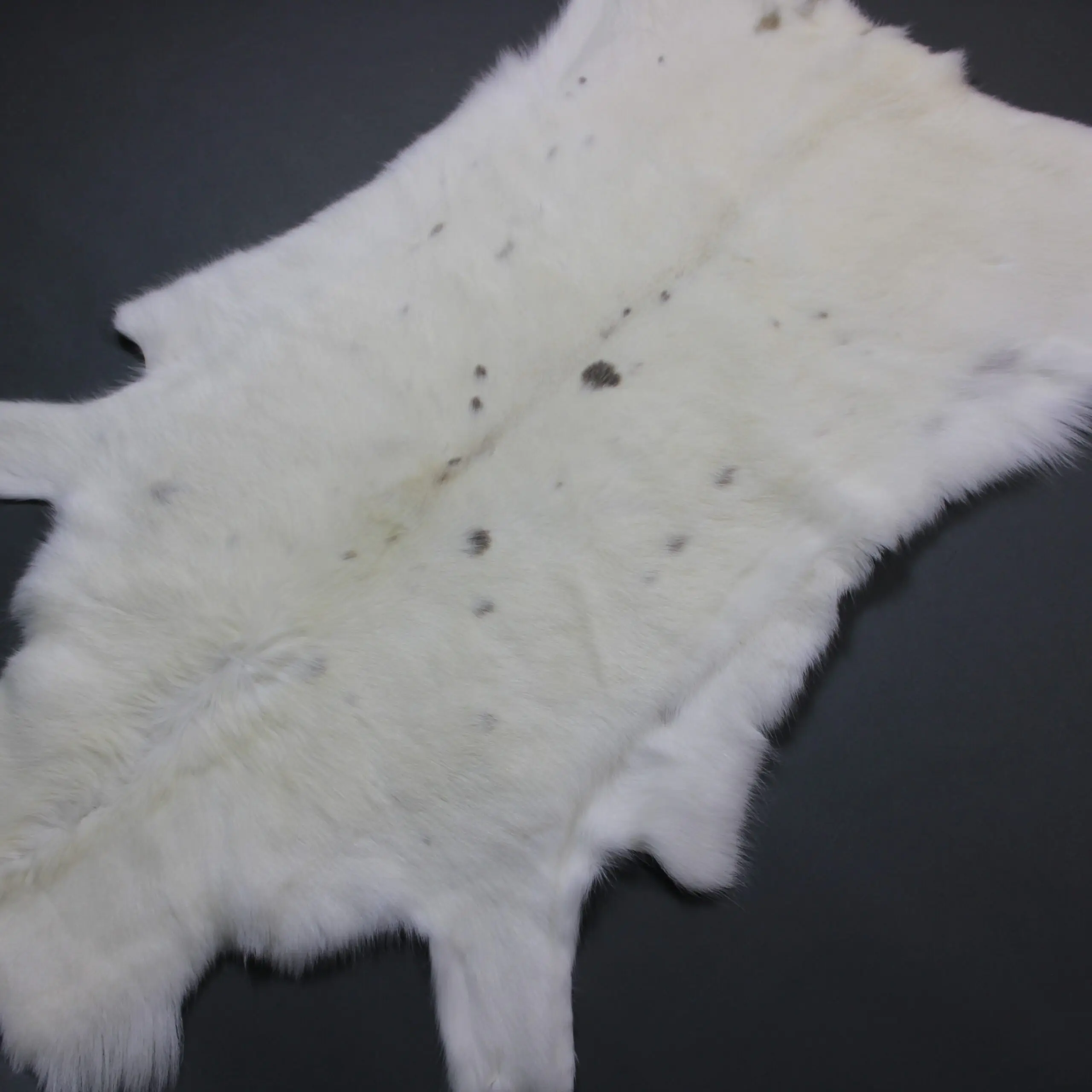 White Reindeer Hide WR264