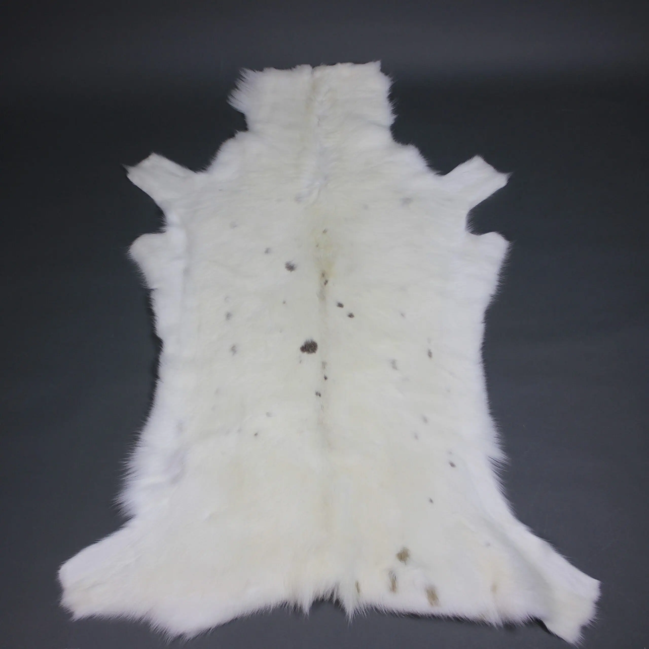 White Reindeer Hide WR264