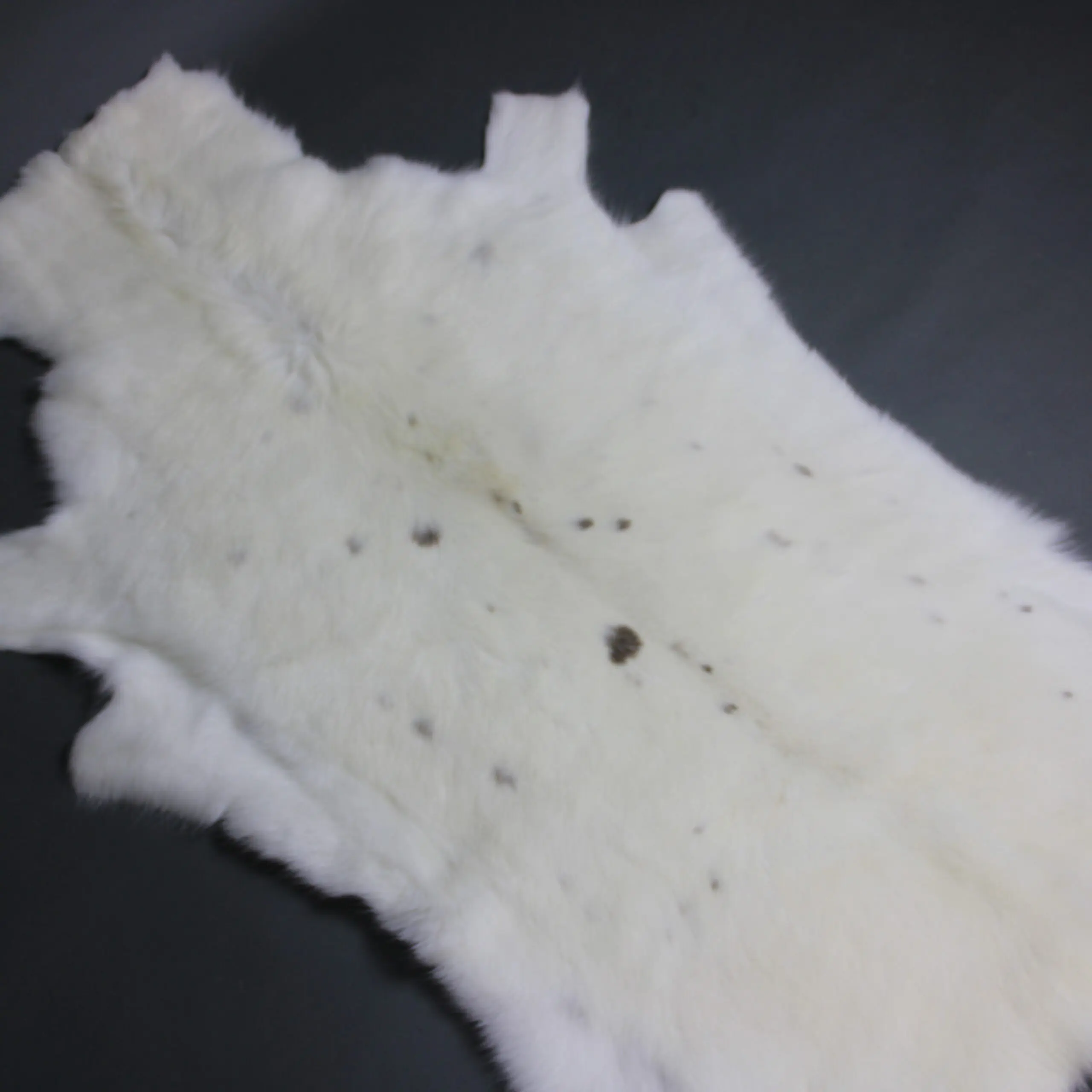 White Reindeer Hide WR264