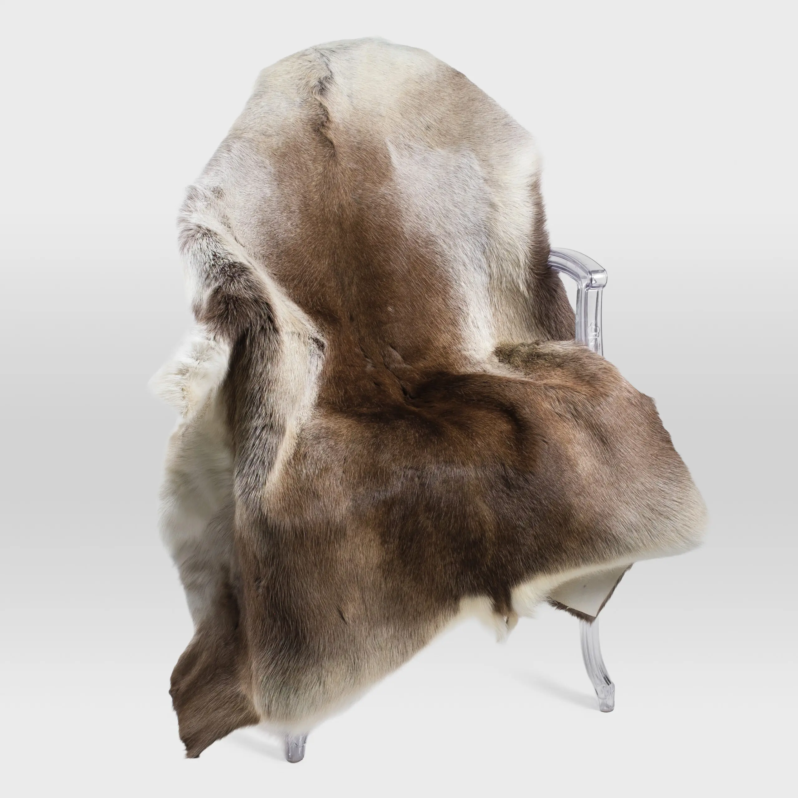 Extra Large Siberian Reindeer Hide R1305