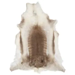 Reindeer Hide Rug Natural Large RS2029 Main Image