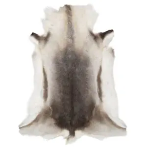 Reindeer Hide Rug Natural Small RS2022 Main Image
