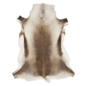 Reindeer Hide Rug Natural Small RS2039 Main Image