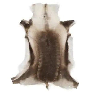 Reindeer Hide Rug Natural Small RS2056 Main Image