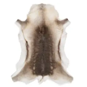 Reindeer Hide Rug Natural Small RS2075 Main Image