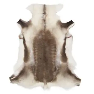 Reindeer Hide Rug Natural Small RS2076 Main Image