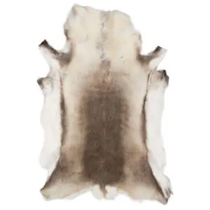 Reindeer Hide Rug Natural Large RS2043 Main Image