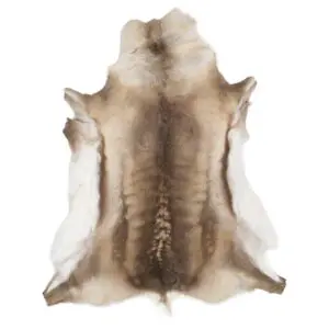 Reindeer Hide Rug Natural Small RS2036 Main Image