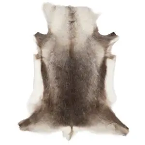 Reindeer Hide Rug Natural Small RS2046 Main Image