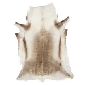 Reindeer Hide Rug Light Large RS2063 Main Image