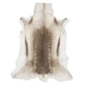 Reindeer Hide Rug Light Small RS2062 Main Image