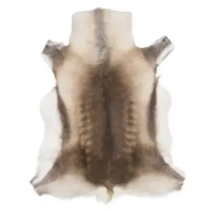 Reindeer Hide Rug Natural Small RS2058 Main Image