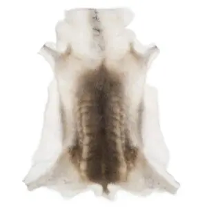 Reindeer Hide Rug Natural Small RS2052 Main Image