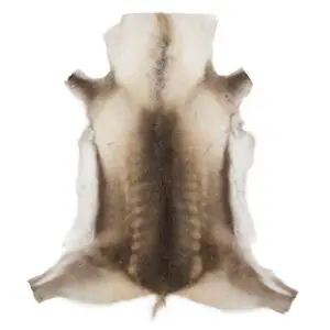 Reindeer Hide Rug Natural Small RS2079 Main Image