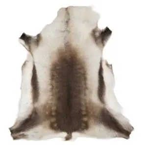 Reindeer Hide Rug Natural Small RS2015 Main Image