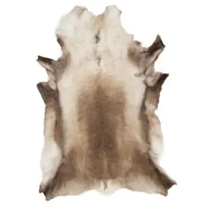 Reindeer Hide Rug Natural Large RS2033 Main Image
