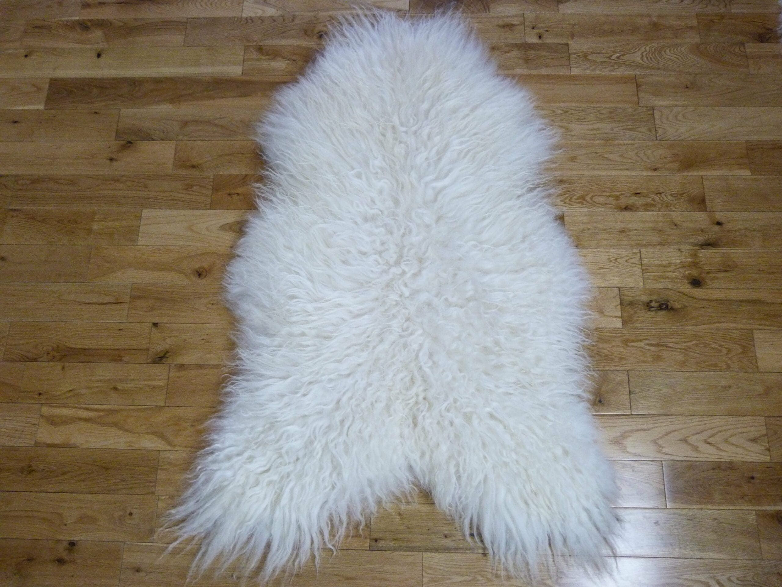 Curly Icelandic Sheepskin Rug Ivory Large Hide Rugs
