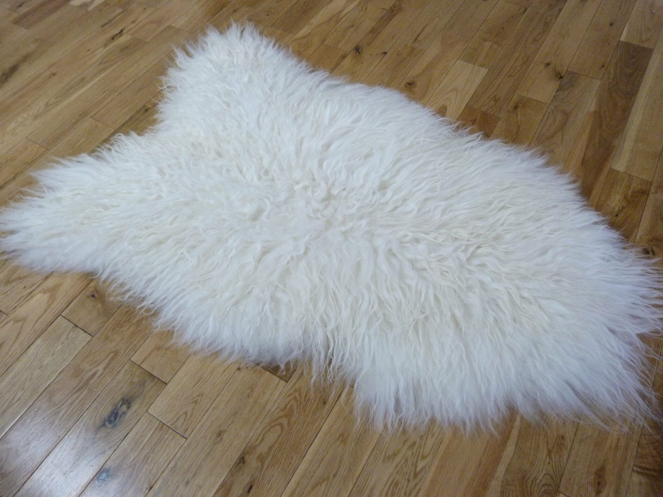 sheepskin rug curly icelandic ivory medium rugs hide icl