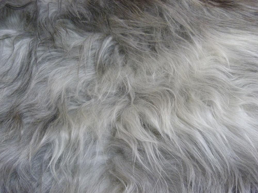 Icelandic Sheepskin Rug 6 Skin Natural Grey ING6S38 - Hide Rugs