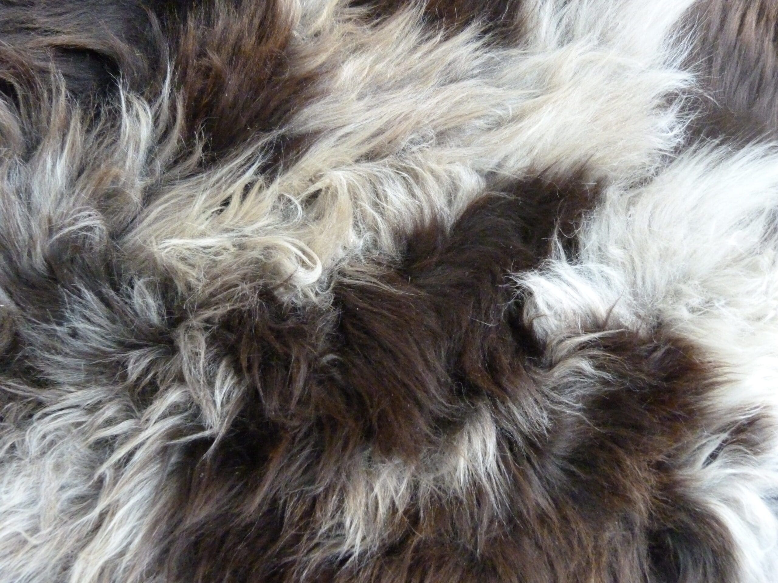 British Rare Breed Sheepskin Hides Hide Rugs