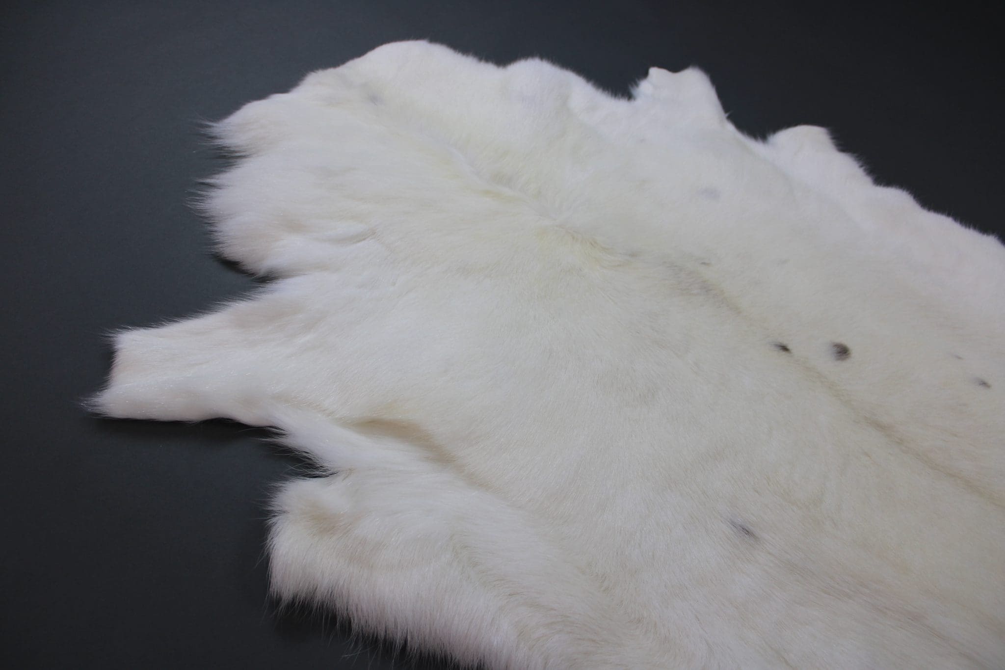 White Reindeer Hides Hide Rugs