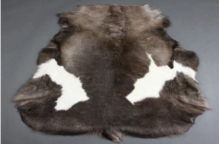 reindeer hide