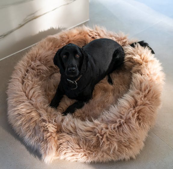 Sheepskin Pet Bed Taupe Small