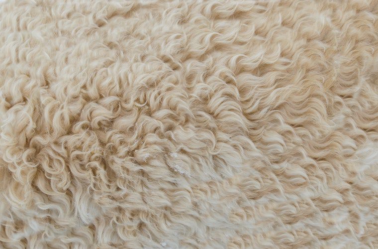 The Health Benefits of Sheepskin Rugs