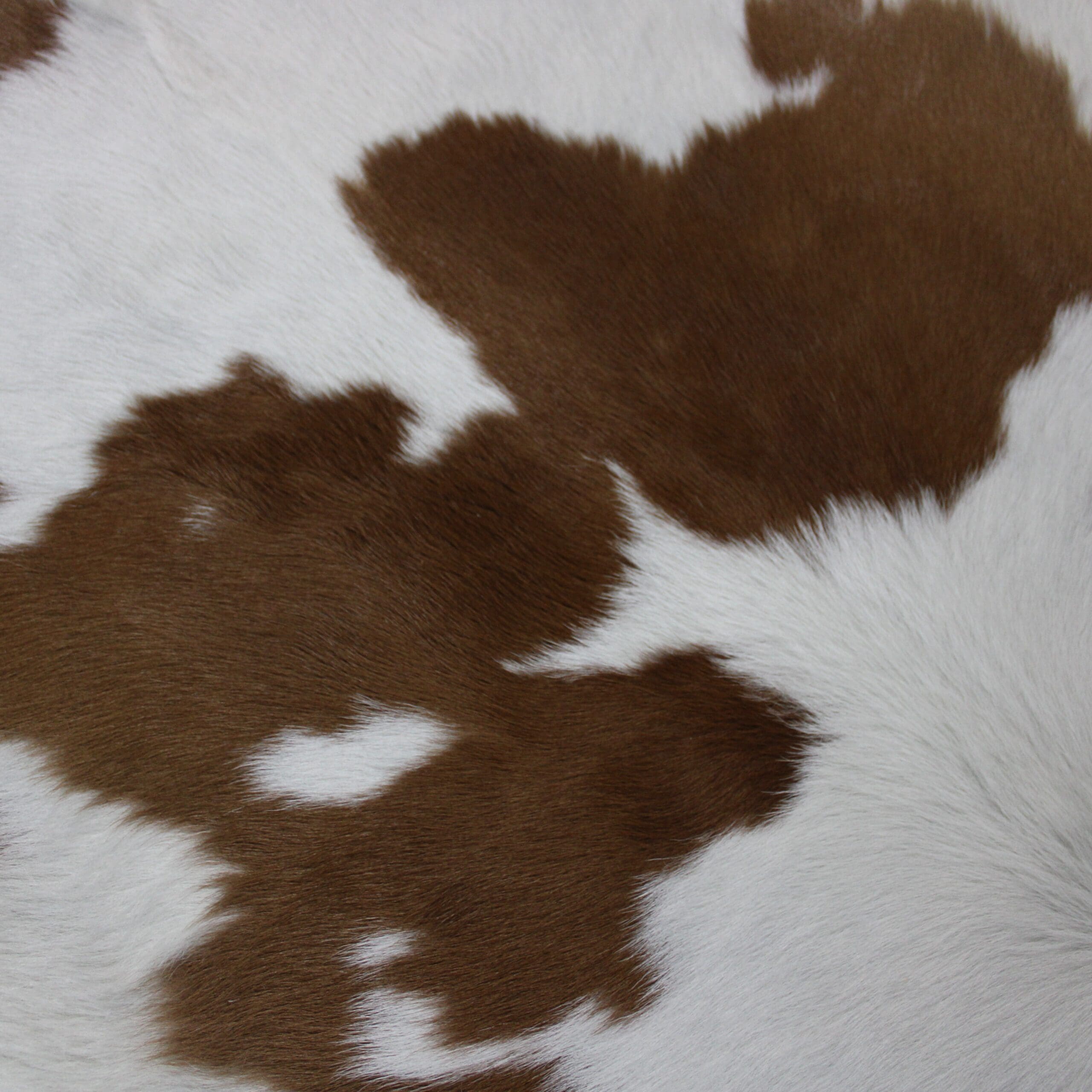 Calf Skin Rug CF106 - Hide Rugs