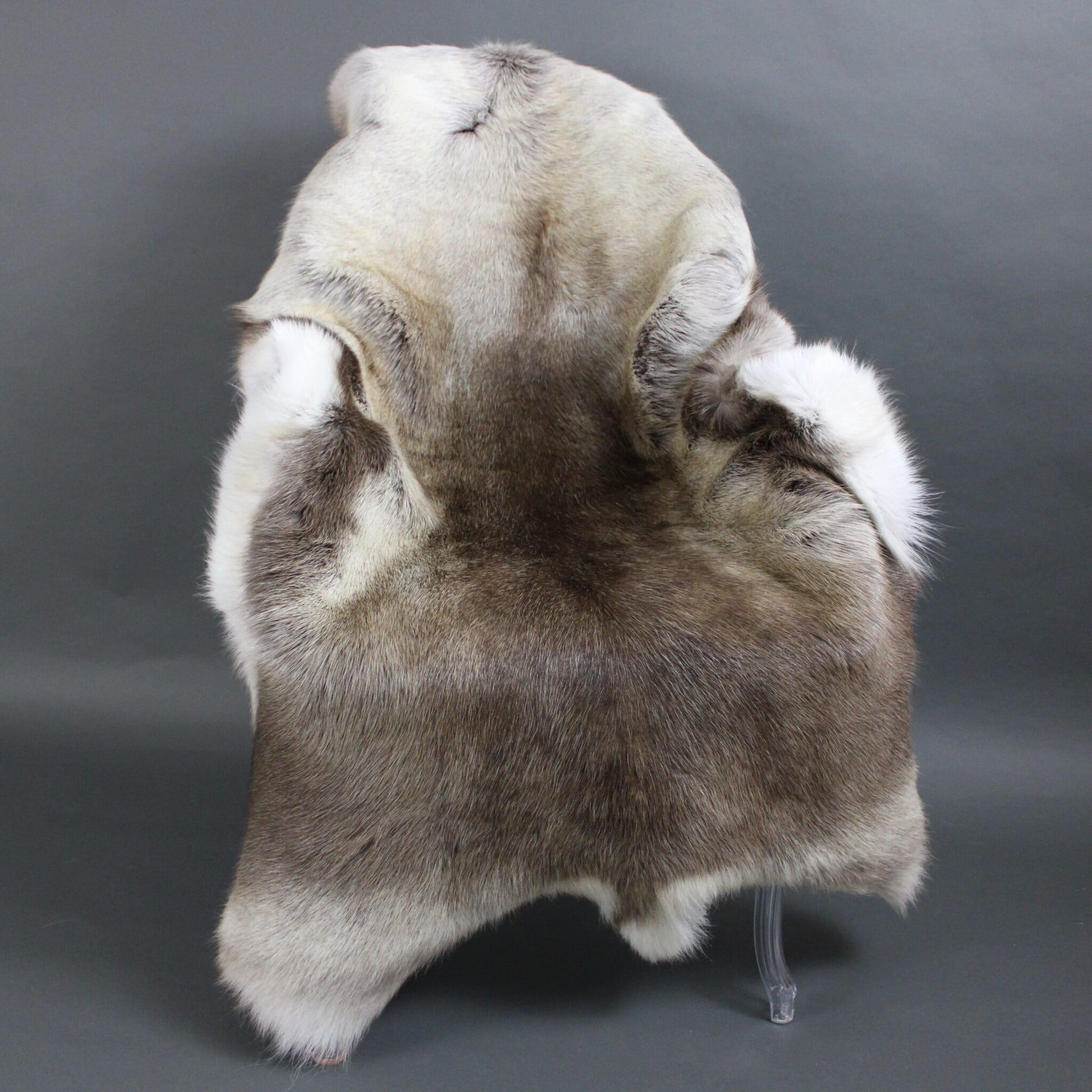 X Large Reindeer Hide Rug R918 Hide Rugs