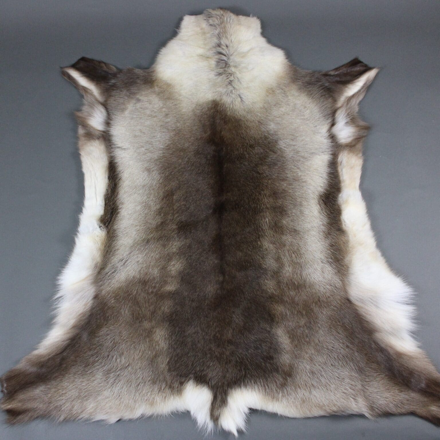 Large Reindeer Hide Rug R928 Hide Rugs