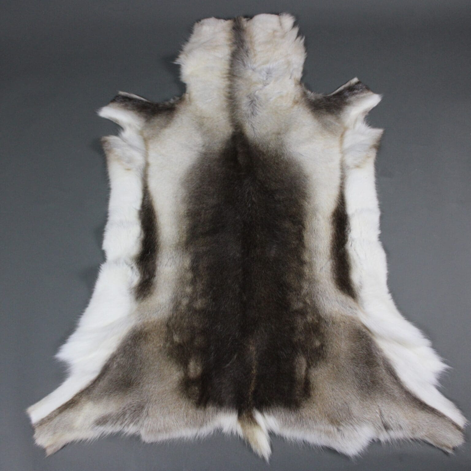 X Large Reindeer Hide Rug R930 Hide Rugs