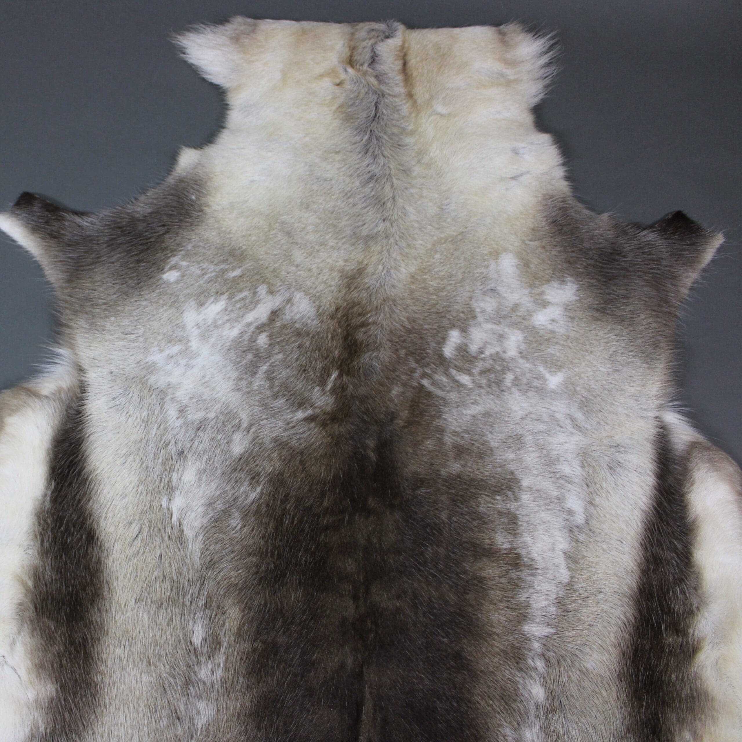 Large Reindeer Hide Rug R1053 - Hide Rugs