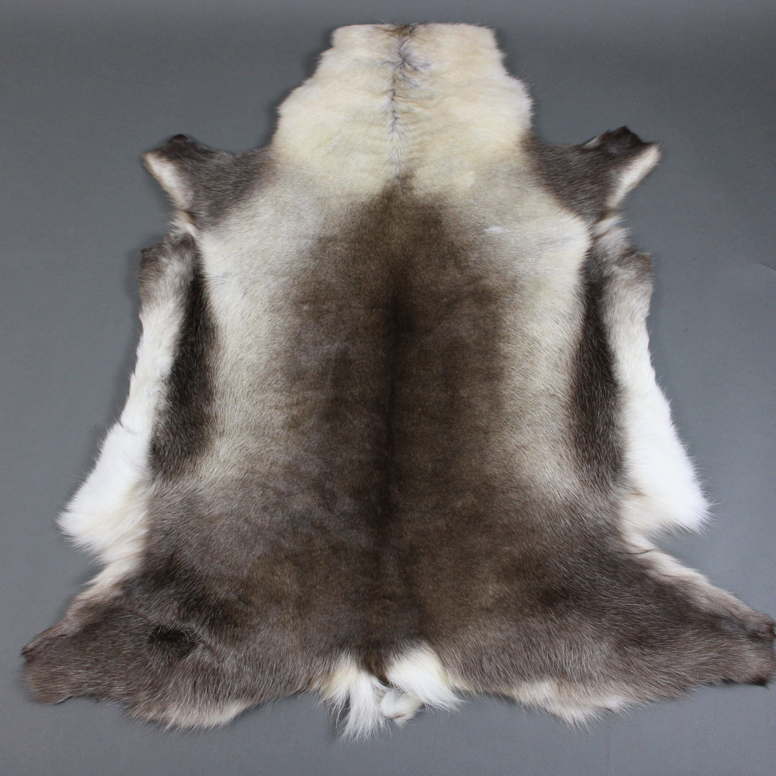 Large Reindeer Hide Rug R1120 - Hide Rugs