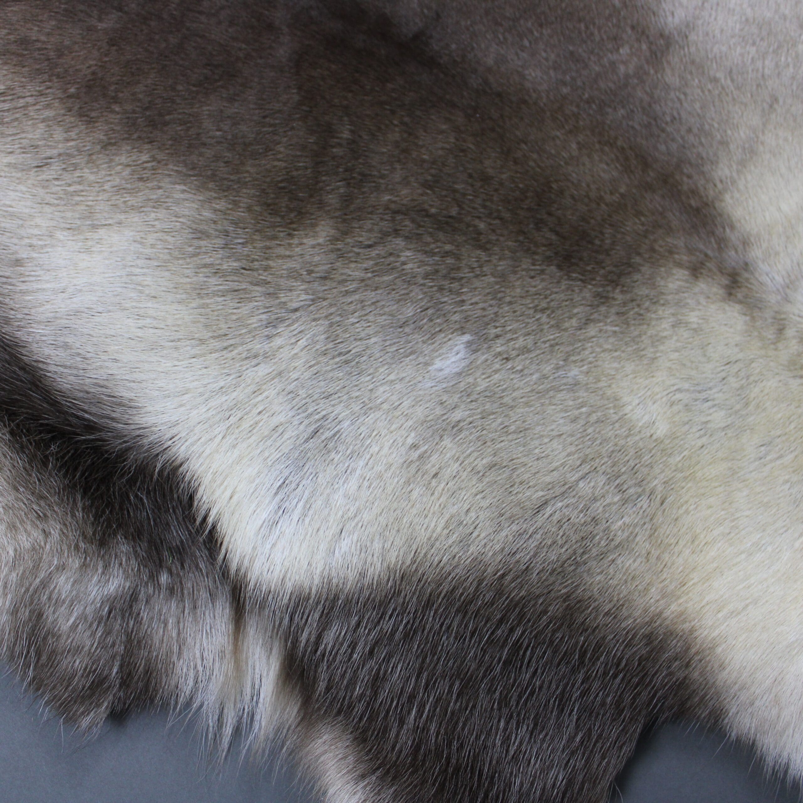 Large Reindeer Hide Rug R1120 - Hide Rugs