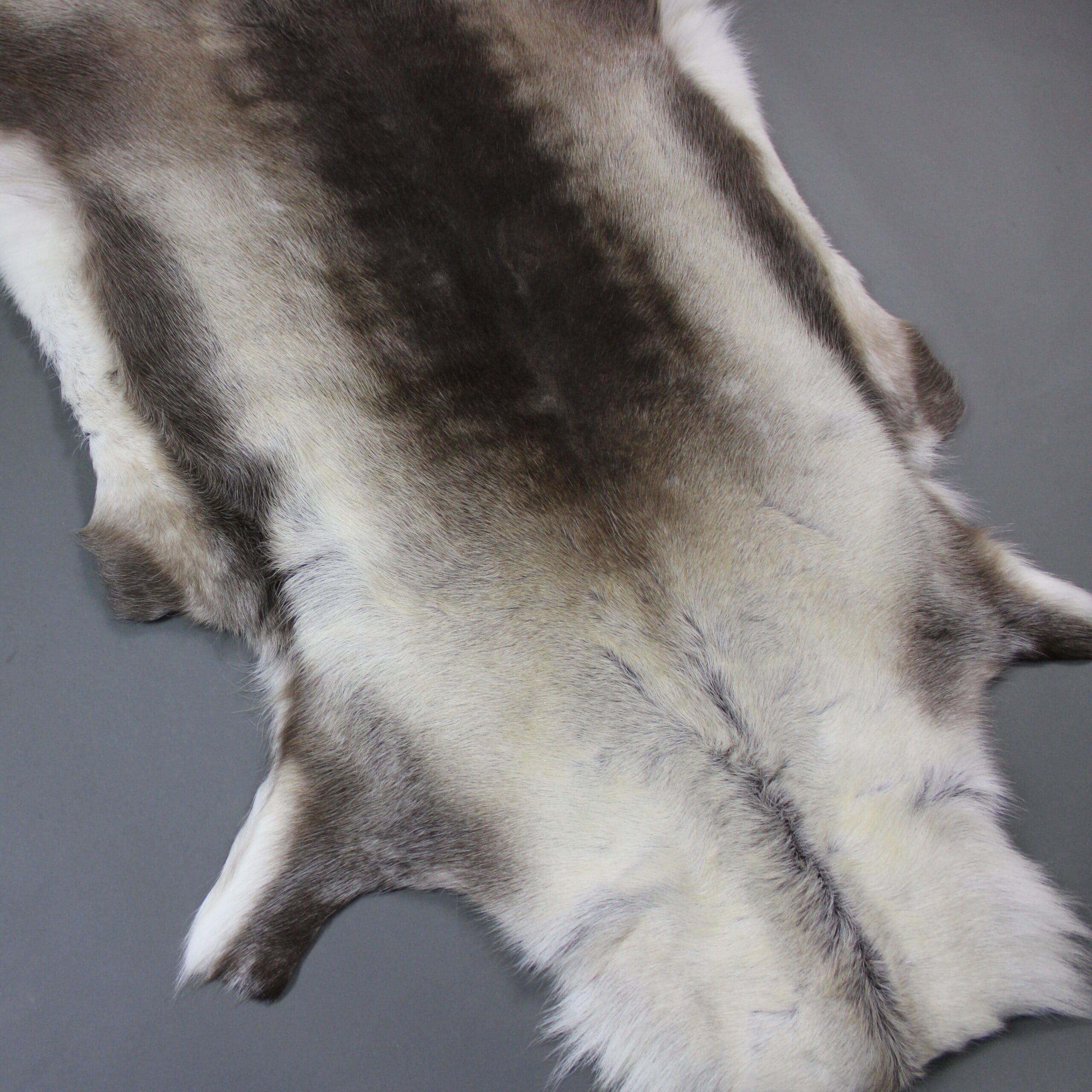 Large Reindeer Hide Rug R1125 - Hide Rugs