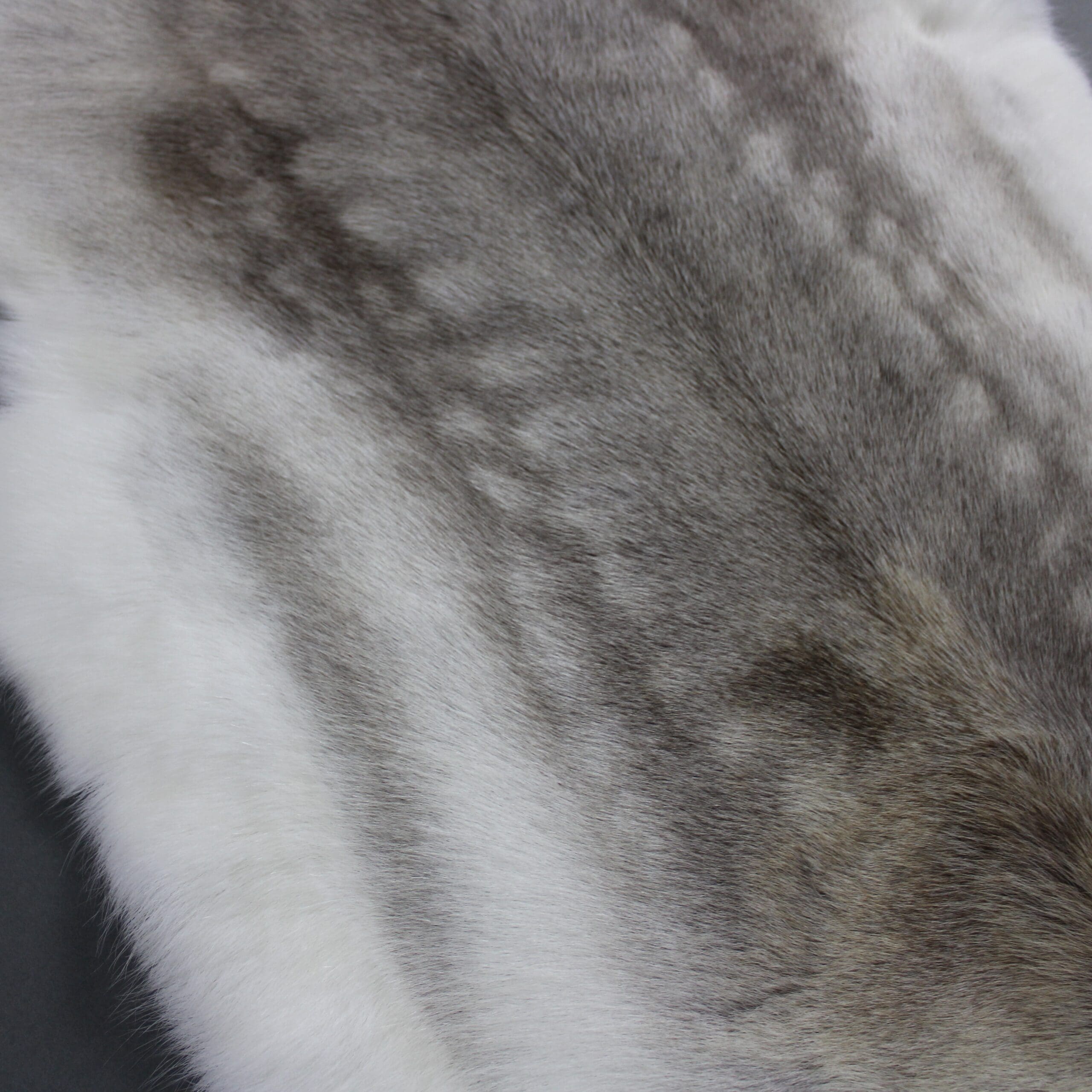 Large Reindeer Hide Rug R1147 - Hide Rugs