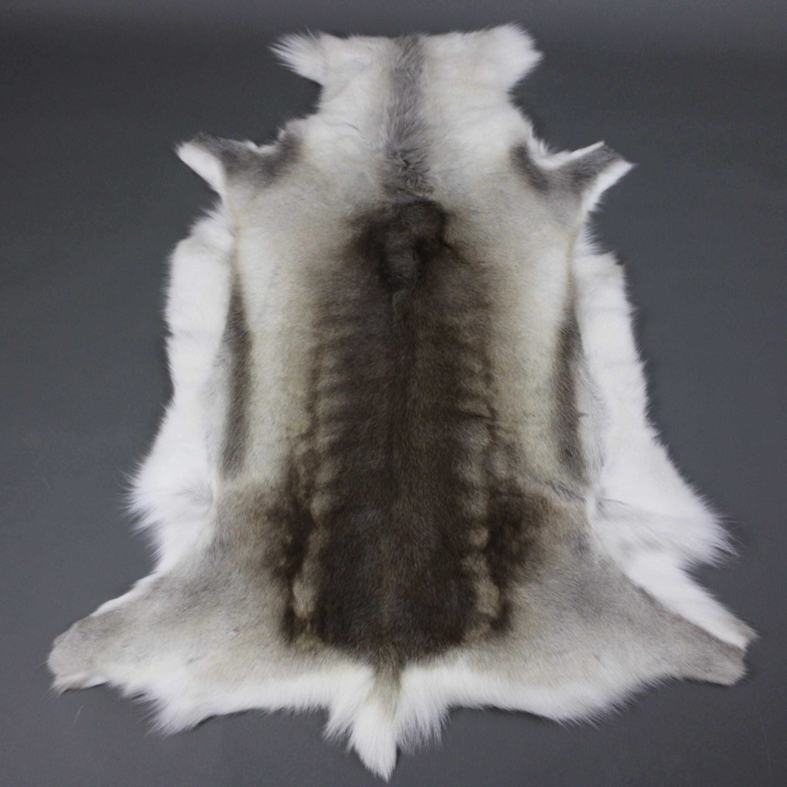 Reindeer Hide Rug R1217 - Hide Rugs