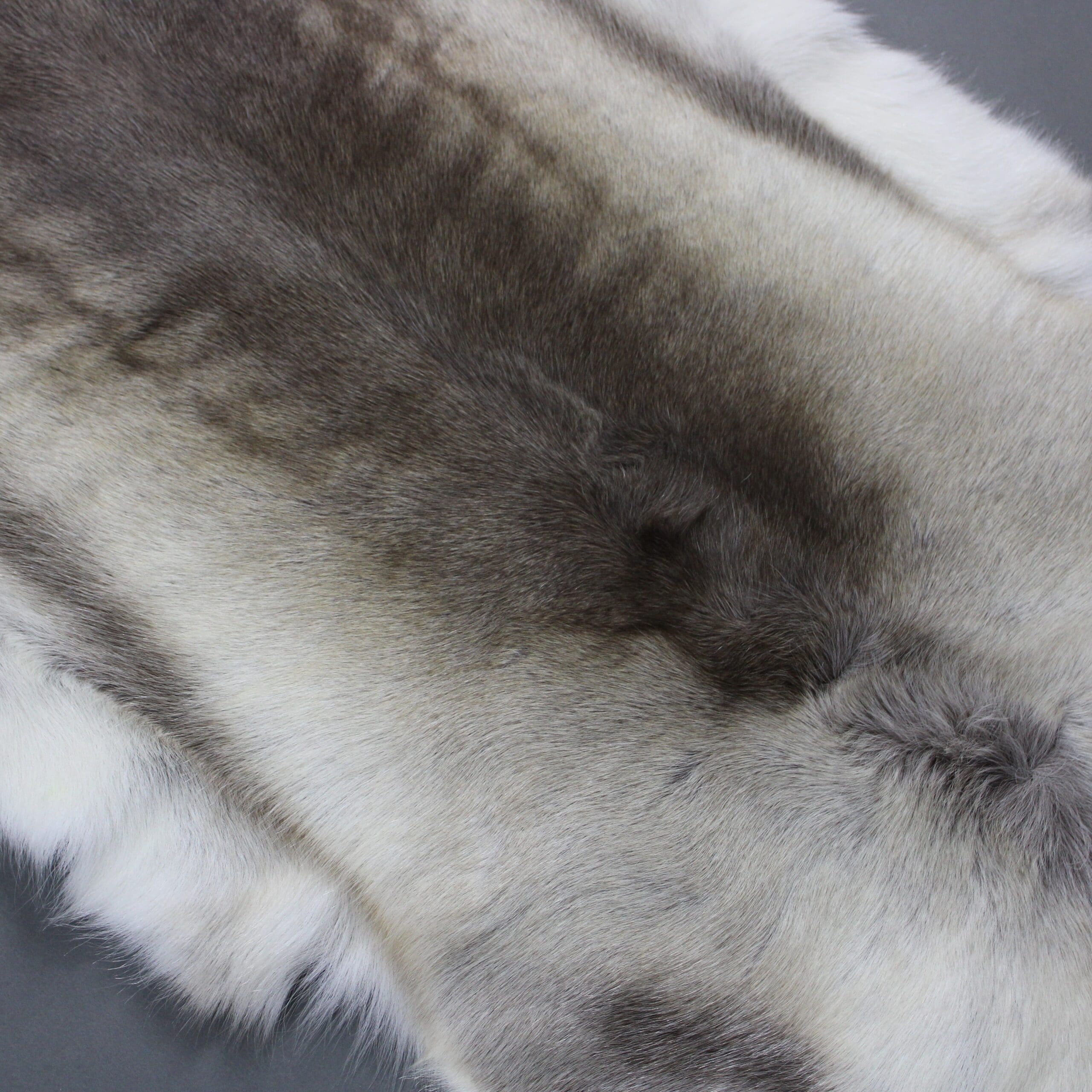 Reindeer Hide Rug R1217 - Hide Rugs