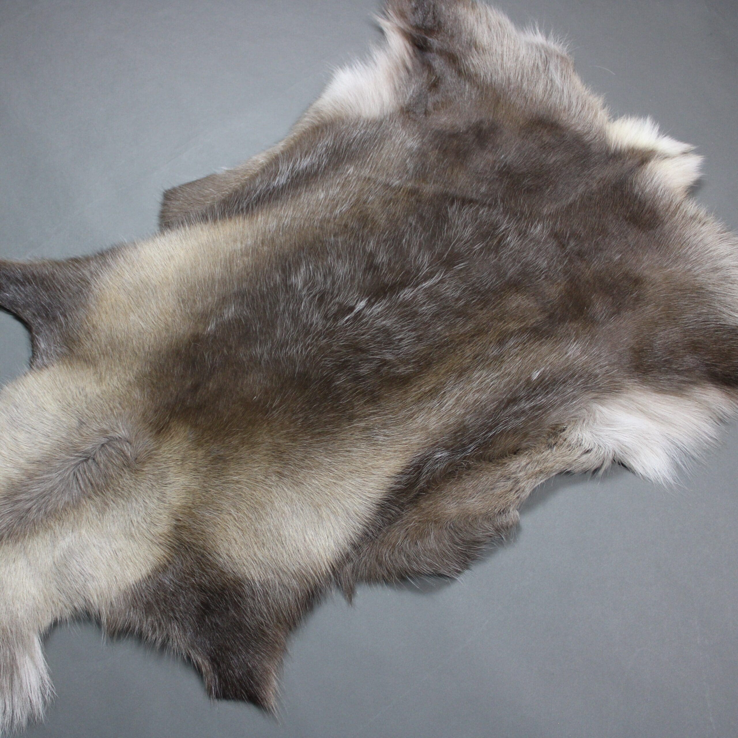 Reindeer Hide Rug R1284 - Hide Rugs