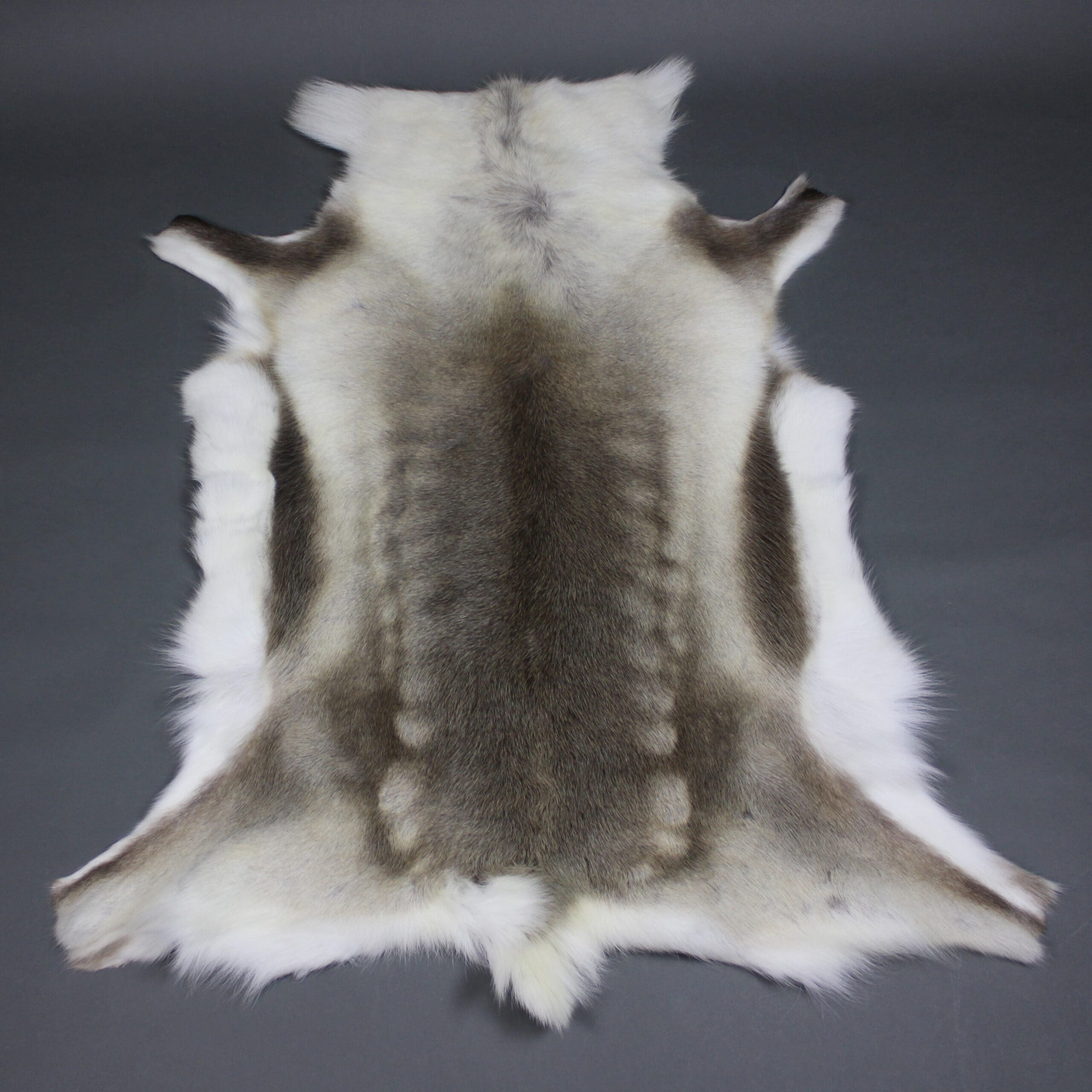 Reindeer Hide Rug R1287 - Hide Rugs