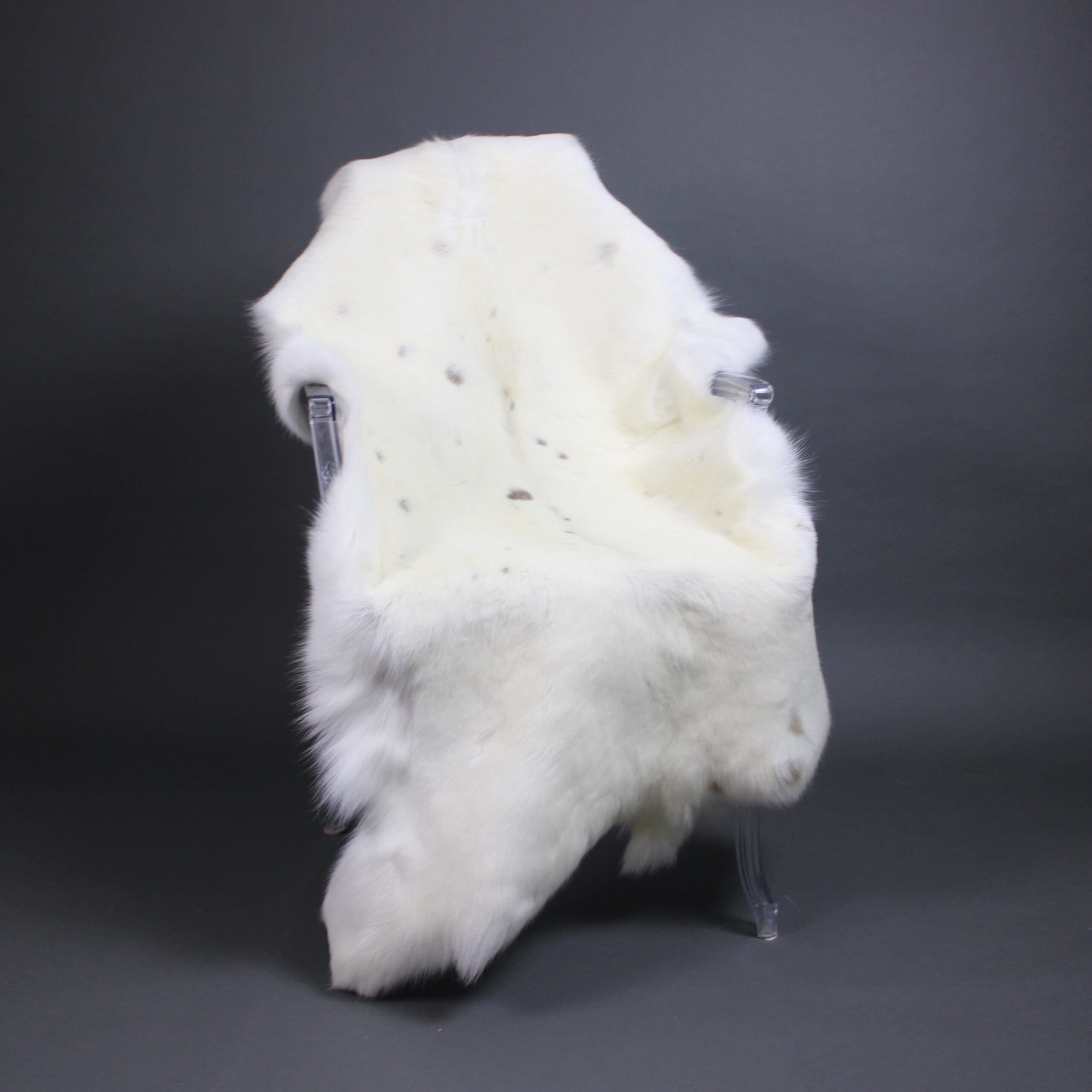 White Reindeer Hide WR264 - Hide Rugs