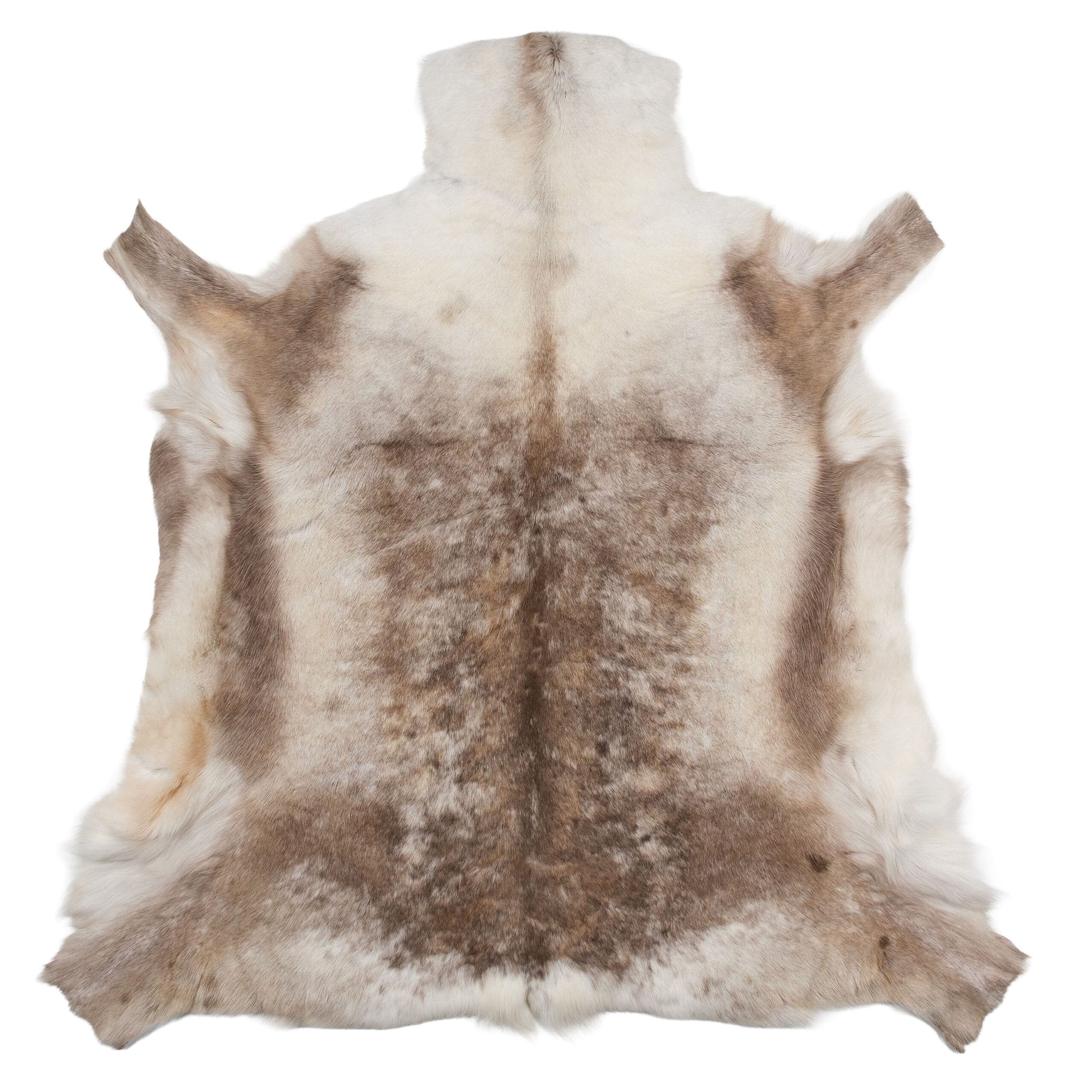 Large Siberian Reindeer Hide R1303