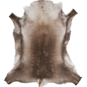 Large Siberian Reindeer Hide R1304