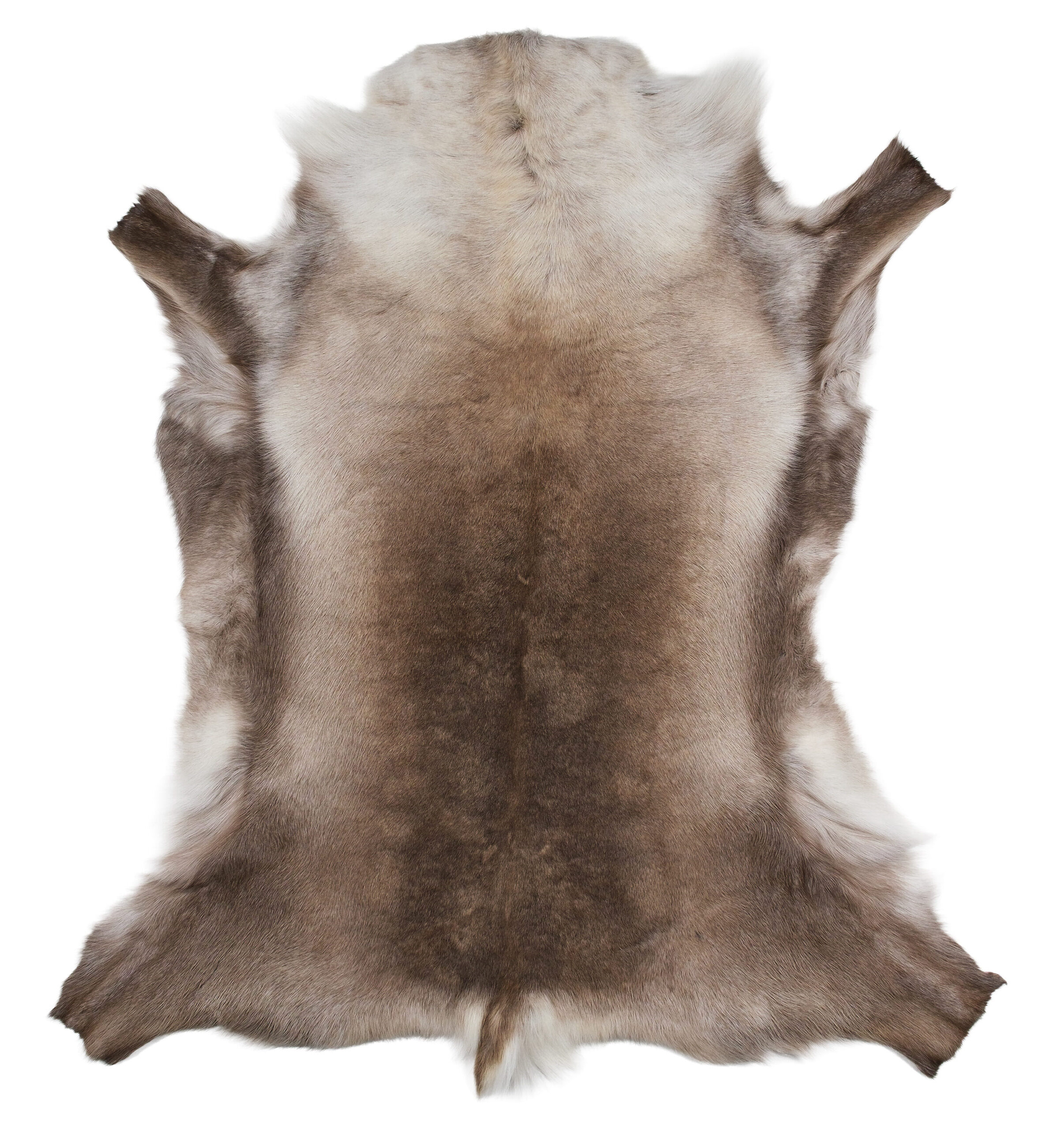 Large Siberian Reindeer Hide R1304